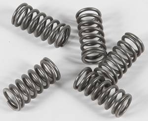 CLUTCH SPRINGS