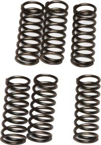 CLUTCH SPRINGS