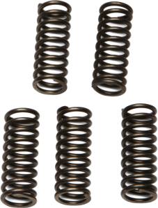 CLUTCH SPRINGS