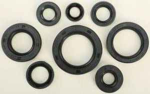 OIL SEAL SET