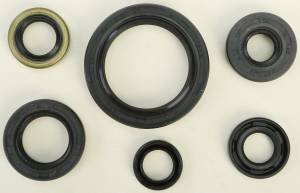 OIL SEAL SET