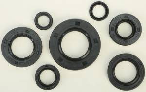 OIL SEAL SET