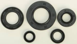 OIL SEAL SET