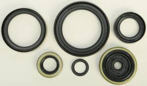 OIL SEAL SET