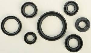 OIL SEAL SET