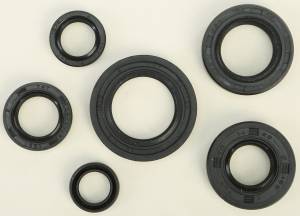 OIL SEAL SET