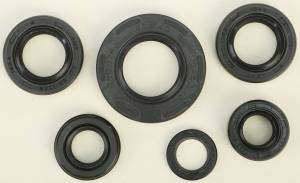 OIL SEAL SET