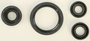 OIL SEAL SET