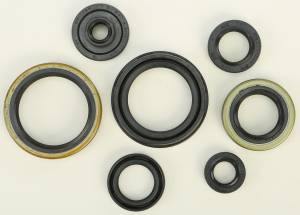 OIL SEAL SET