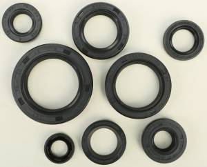 OIL SEAL SET