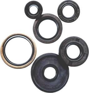 OIL SEAL KIT DIRT