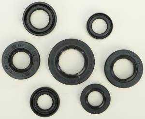 OIL SEAL SET