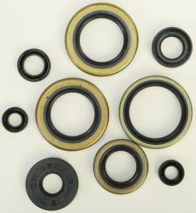 OIL SEAL SET