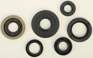 OIL SEAL SET