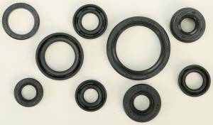 OIL SEAL SET