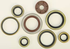 OIL SEAL SET