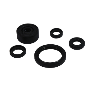 OIL SEAL SET YAM