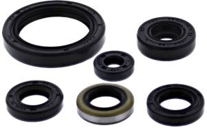 OIL SEAL SET KAW