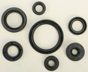 OIL SEAL SET