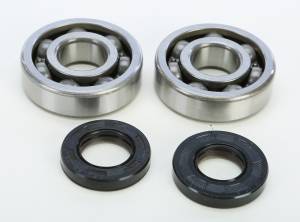 CRANKSHAFT BEARING & SEAL KIT YAM