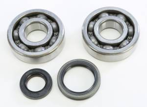 CRANKSHAFT BEARING & SEAL KIT SUZ