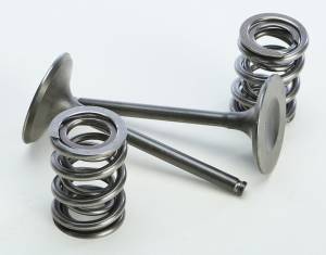 INTAKE VALVE CONVERSION SET TI-STEEL KAW