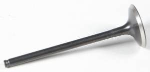 BLACK DIAMOND INTAKE VALVE