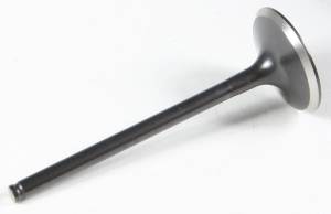 BLACK DIAMOND INTAKE VALVE