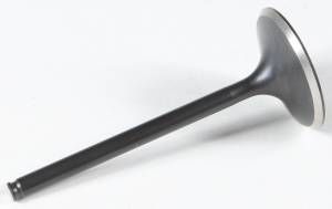 BLACK DIAMOND INTAKE VALVE