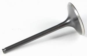 BLACK DIAMOND INTAKE VALVE