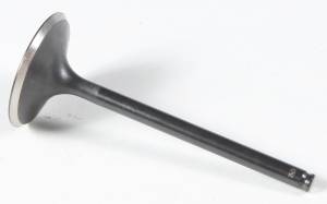 BLACK DIAMOND INTAKE VALVE