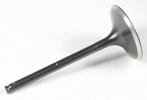 BLACK DIAMOND INTAKE VALVE