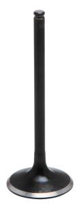 BLACK DIAMOND INTAKE VALVE