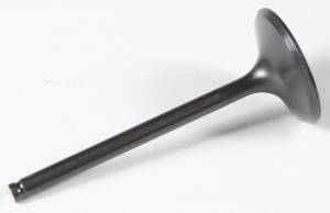 BLACK DIAMOND INTAKE VALVE