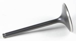 BLACK DIAMOND INTAKE VALVE