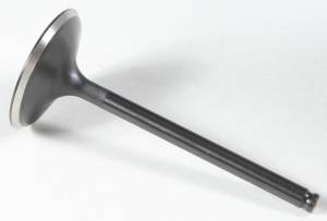 BLACK DIAMOND INTAKE VALVE