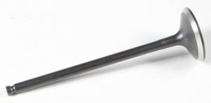 BLACK DIAMOND INTAKE VALVE