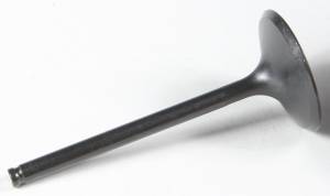 BLACK DIAMOND INTAKE VALVE