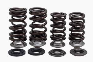 RACING VALVE SPRING KIT