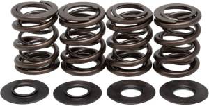 RACING VALVE SPRING KIT