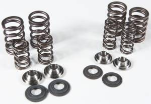 RACING VALVE SPRING KIT