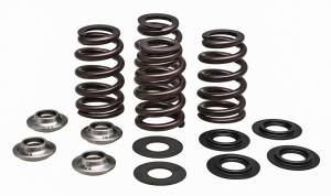 RACING VALVE SPRING KIT