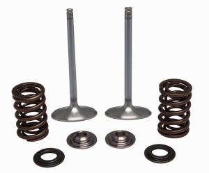 SS INTAKE VALVE/SPRING KIT