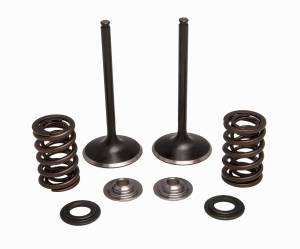 INTAKE VALVE/SPRING KIT STAINLESS