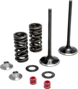 INTAKE VALVE SPRING KIT