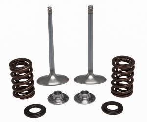 SS INTAKE VALVE/SPRING KIT