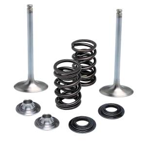 INTAKE VALVE/SPRING KIT .450" LIFT