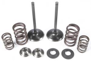 INTAKE VALVE/SPRING KIT STAINLESS STEEL