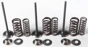 INTAKE VALVE/SPRING KIT STAINLESS STEEL