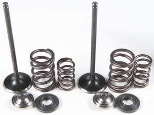 INTAKE VALVE/SPRING KIT STAINLESS STEEL